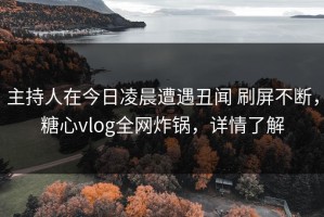 主持人在今日凌晨遭遇丑闻 刷屏不断，糖心vlog全网炸锅，详情了解