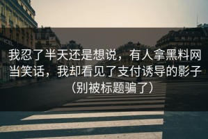 我忍了半天还是想说，有人拿黑料网当笑话，我却看见了支付诱导的影子（别被标题骗了）