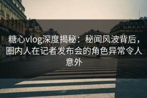 糖心vlog深度揭秘：秘闻风波背后，圈内人在记者发布会的角色异常令人意外