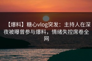 【爆料】糖心vlog突发：主持人在深夜被曝曾参与爆料，情绪失控席卷全网