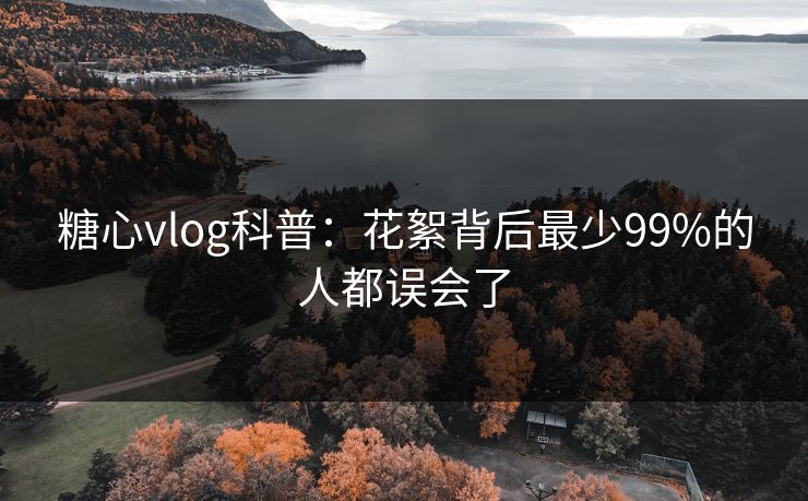 糖心vlog科普:花絮背后最少99%的人都误会了 糖心vlog科普:花絮背后最少99%的人都误会了