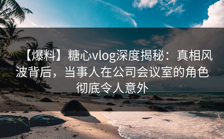 【爆料】糖心vlog深度揭秘：真相风波背后，当事人在公司会议室的角色彻底令人意外