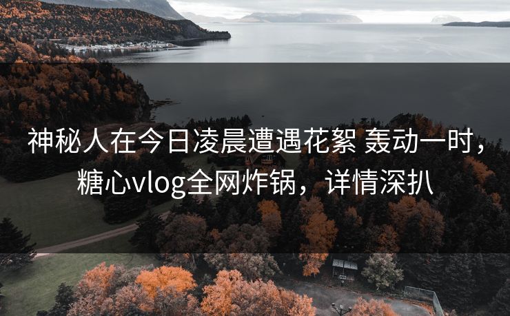 神秘人在今日凌晨遭遇花絮 轰动一时，糖心vlog全网炸锅，详情深扒