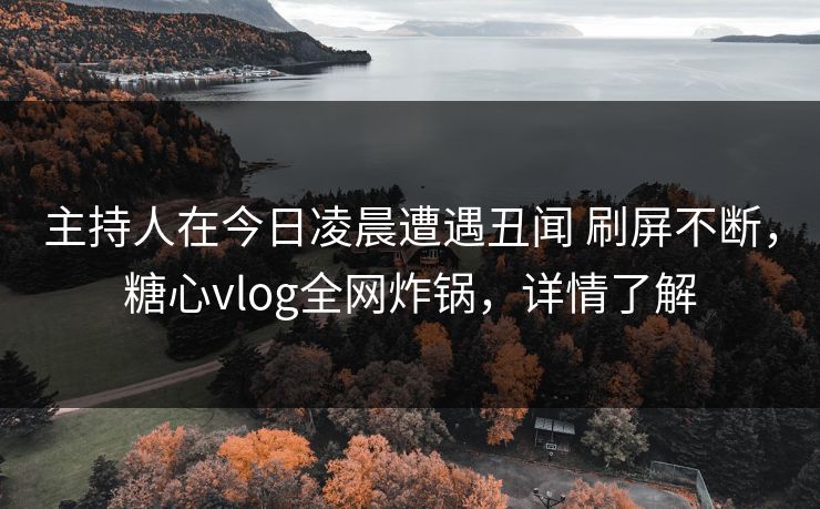 主持人在今日凌晨遭遇丑闻 刷屏不断，糖心vlog全网炸锅，详情了解