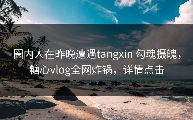 圈内人在昨晚遭遇tangxin 勾魂摄魄，糖心vlog全网炸锅，详情点击