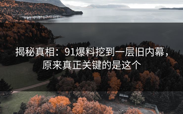 揭秘真相：91爆料挖到一层旧内幕，原来真正关键的是这个