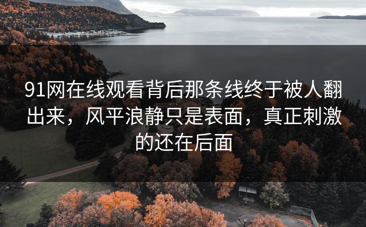 91网在线观看背后那条线终于被人翻出来，风平浪静只是表面，真正刺激的还在后面